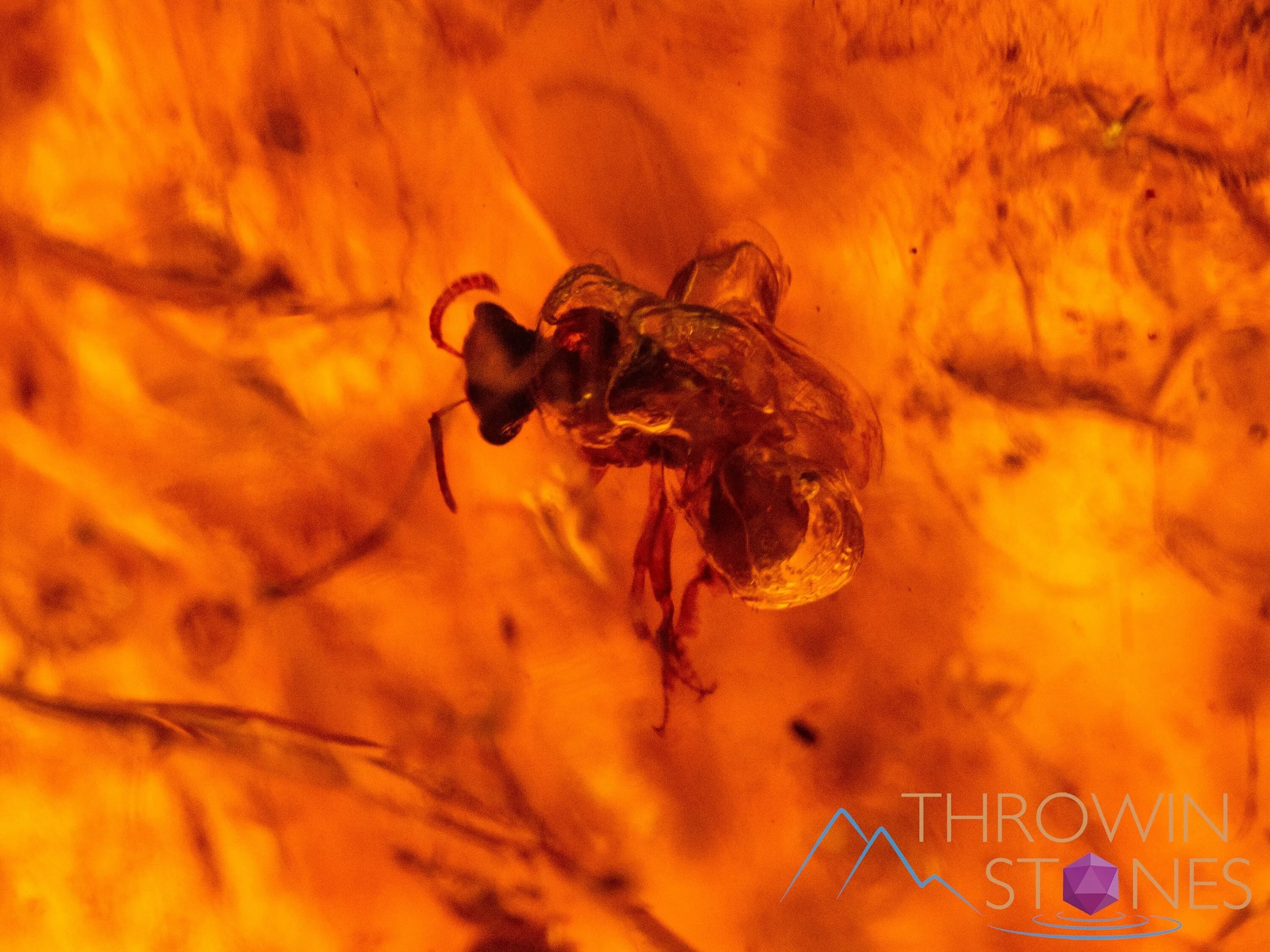 AMBER Stone - Insect Inclusion, Real Fossil - Tumbled Stones, Tumbled Crystals, Healing Crystals and Stones,  52725