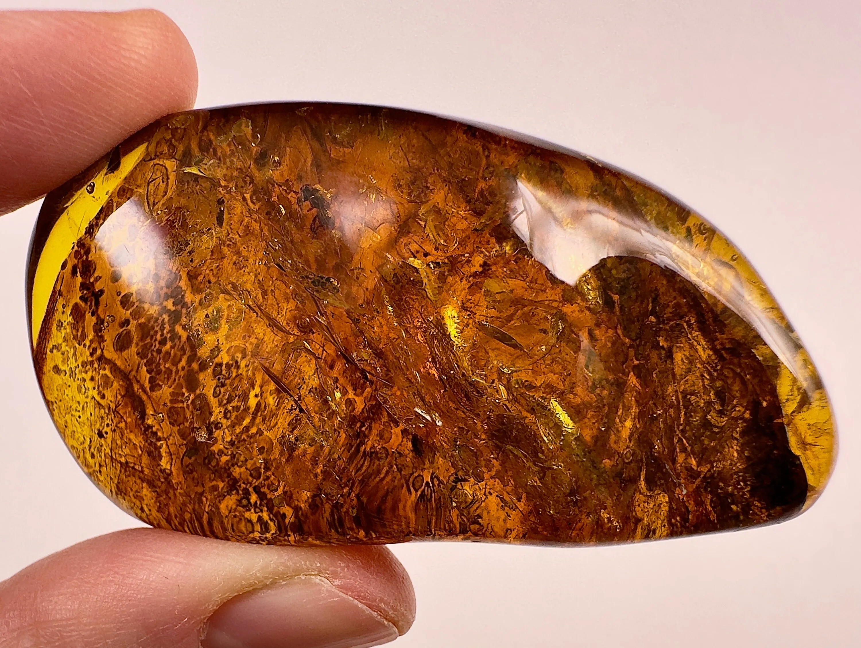 AMBER Stone - Insect Inclusion, Real Fossil - Tumbled Stones, Tumbled Crystals, Healing Crystals and Stones,  52725