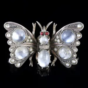 Antique Victorian Moonstone Pearl Garnet Butterfly Brooch Circa 1880