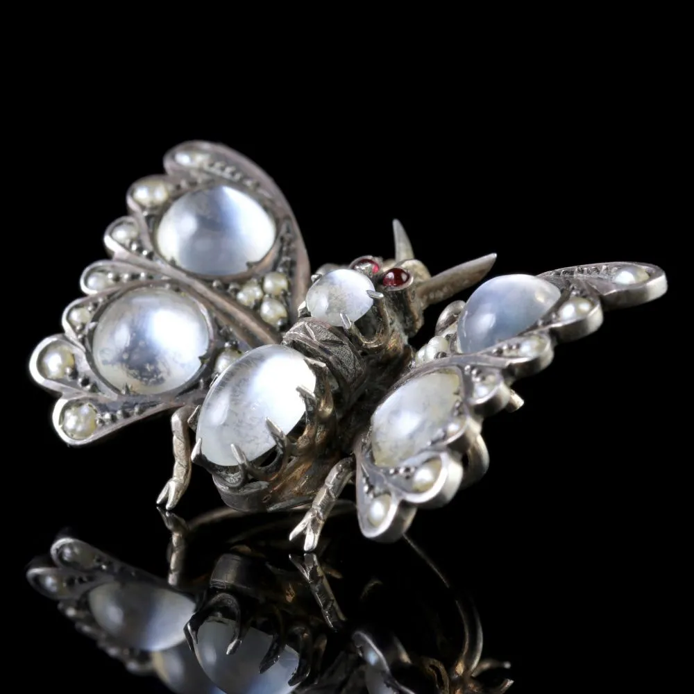 Antique Victorian Moonstone Pearl Garnet Butterfly Brooch Circa 1880