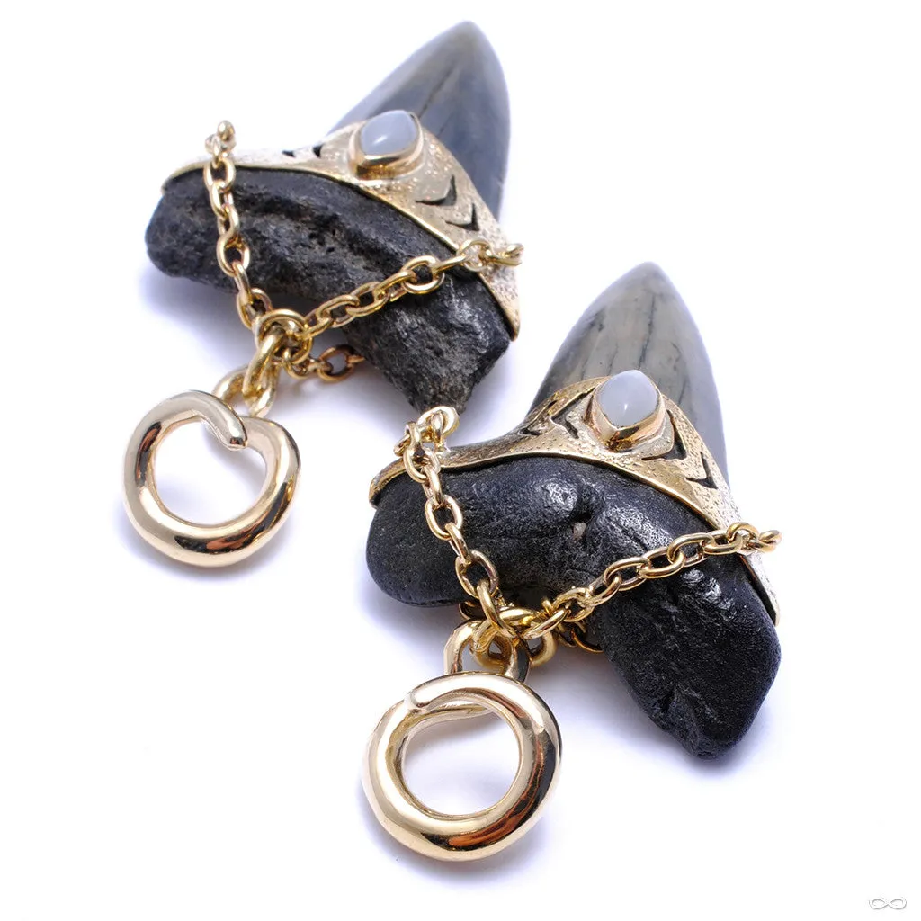 Megalodon Teeth with Grey Moonstone from Diablo Organics