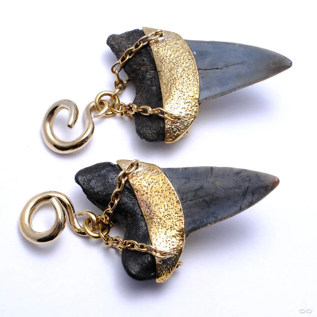 Megalodon Teeth with Grey Moonstone from Diablo Organics