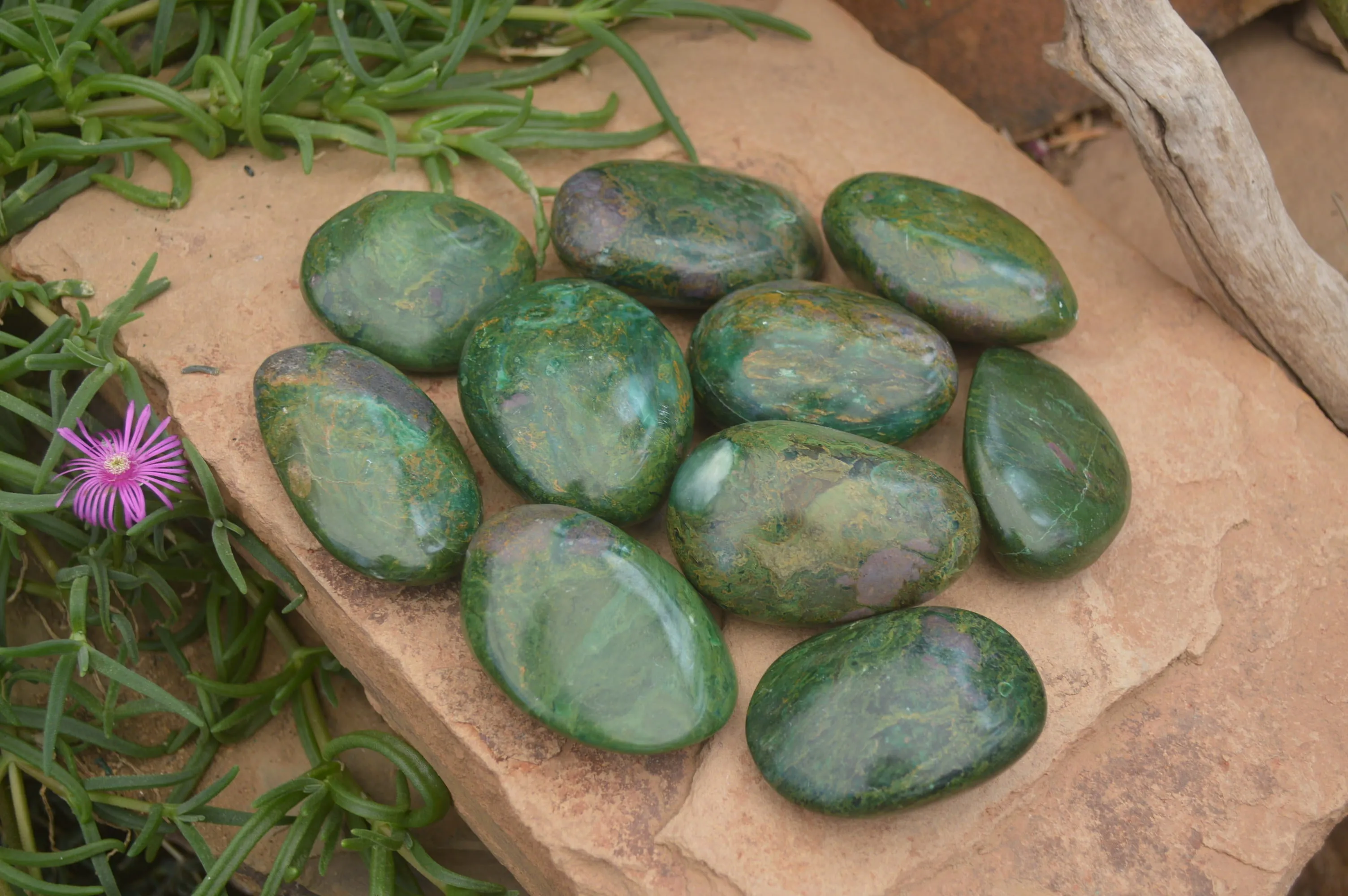 Polished Ruby Corundum In Chrome Verdite Palm Stones x 12 From Zimbabwe